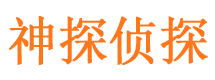 雁江市私家侦探